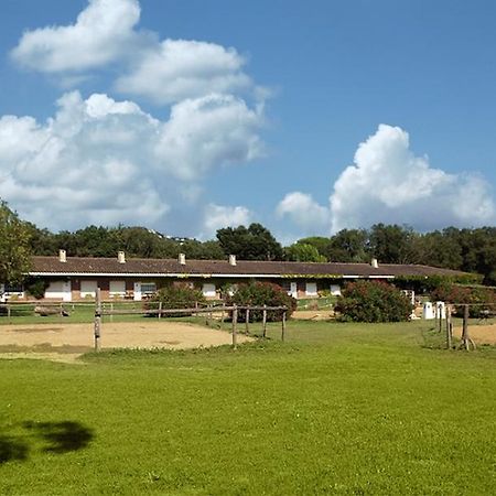 Residential Horse Club Costa Brava Ostello Santa Cristina d'Aro Camera foto