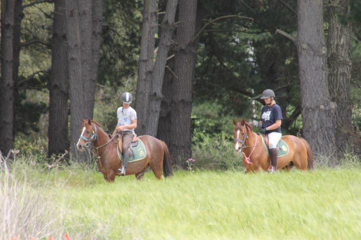 Residential Horse Club Costa Brava Ostello Santa Cristina d'Aro Esterno foto